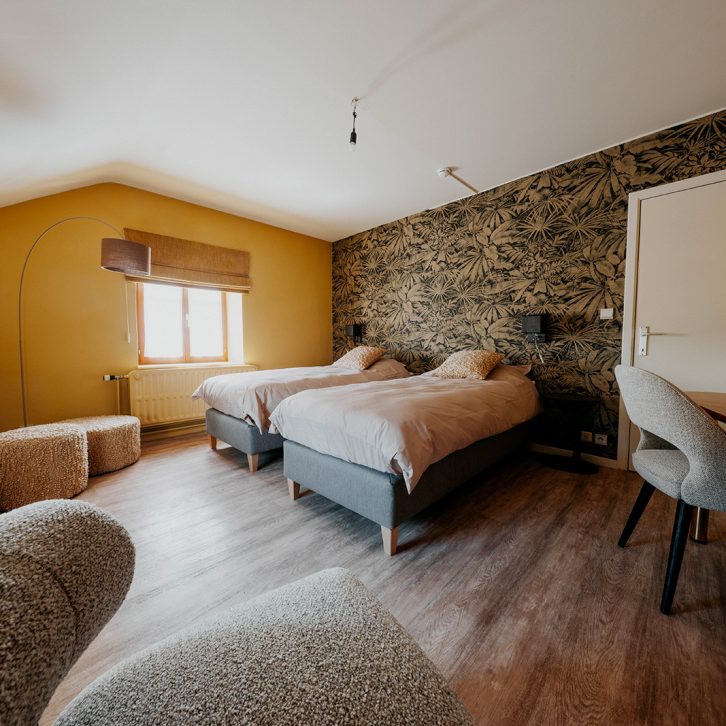 AlexCelles-Hebergement-01-Suite-Douche-Chambre-1-(suite)